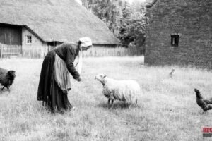 Bezoek boerderij Marie van de Middelhaai