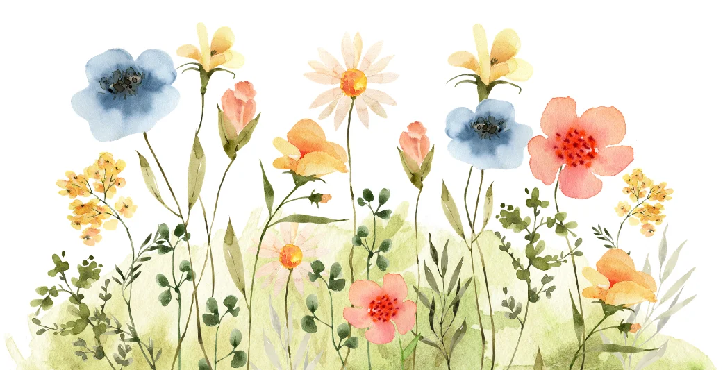 bloemenveld
