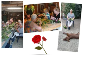 verslag bloemschikken 17 juli