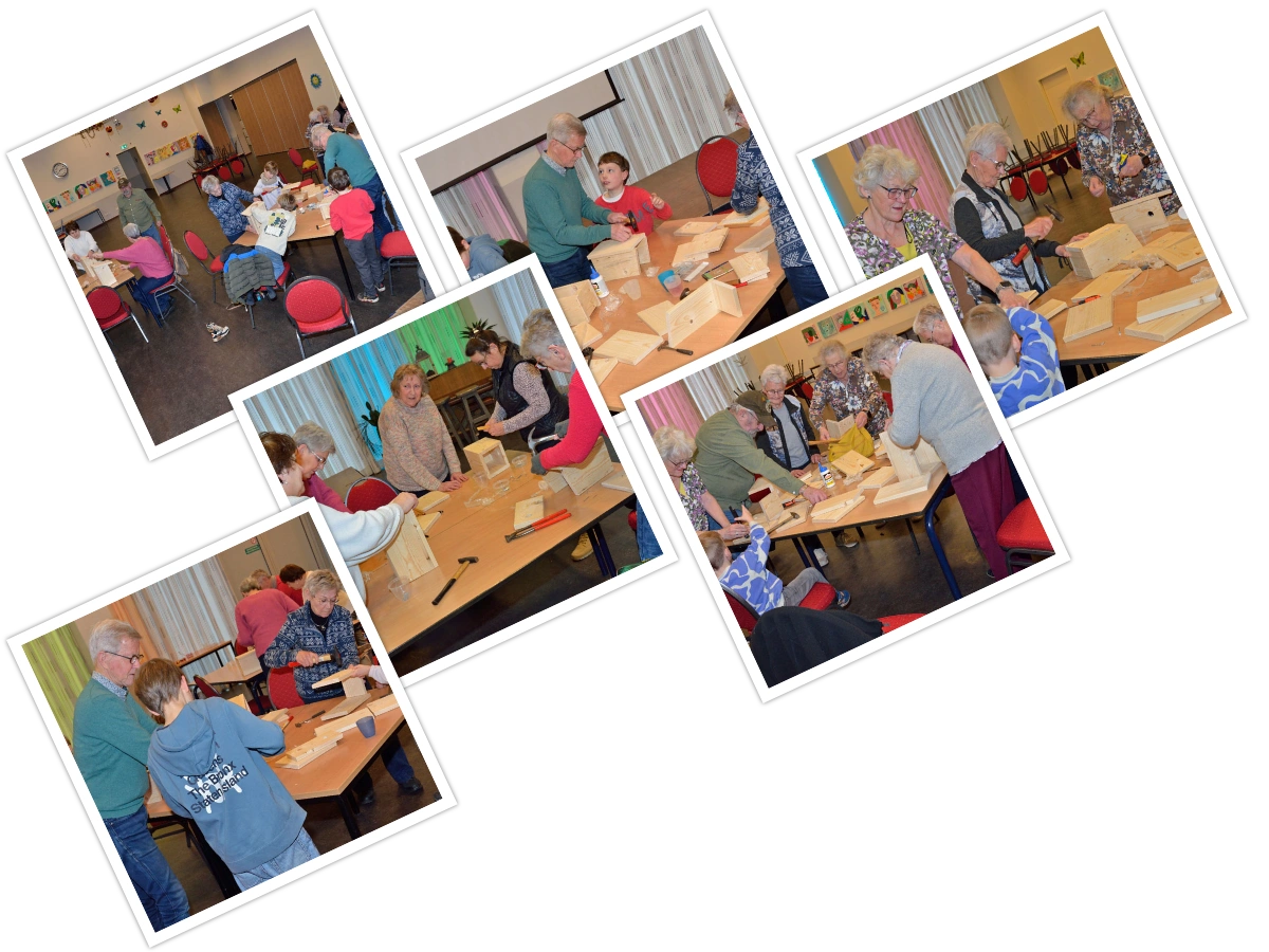 Verslag vogelhuisje maken