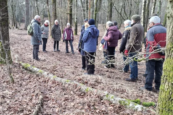 Winterwandeling 18-2-2026
