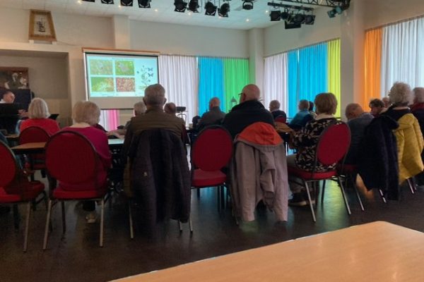 Verslag lezing: “Nieuwkuijkse Wiel” (W18)