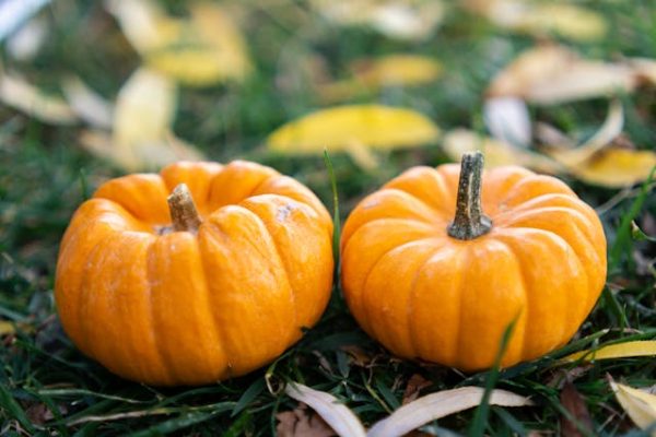 nieuwsbrief-nov-2025