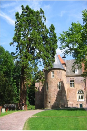 Zondag 16 maart 2025: Winterwandeling Nederhemert-Zuid