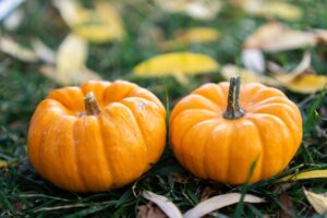 nieuwsbrief-nov-2025